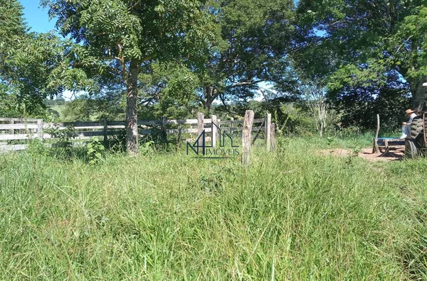 Fazenda 7 Alqueires - Hidrolândia - GO