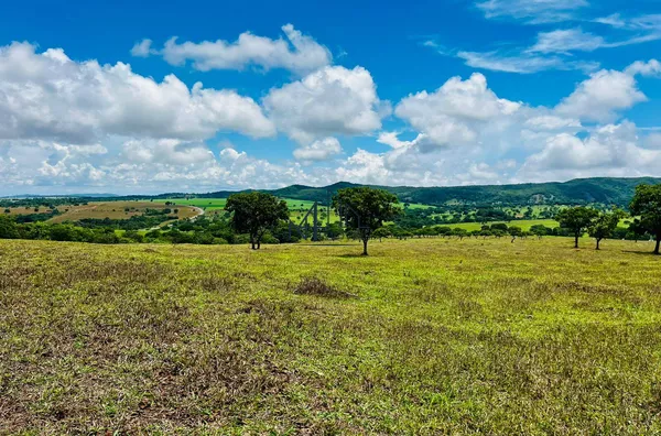 Fazenda 32 Alqueires - Cromínia - GO