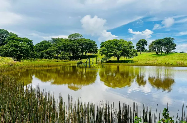 Fazenda 32 Alqueires - Cromínia - GO