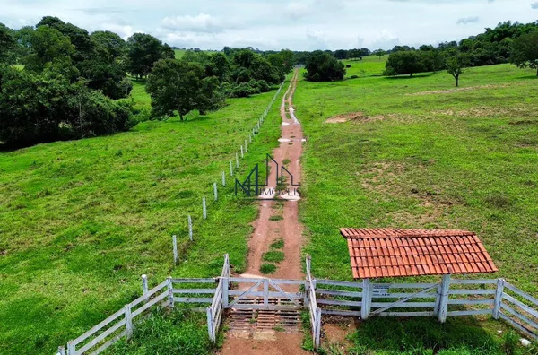 Fazenda 32 Alqueires - Cromínia - GO