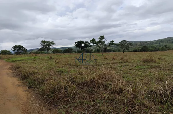 Fazenda 19 Alqueires - Crómínia - GO