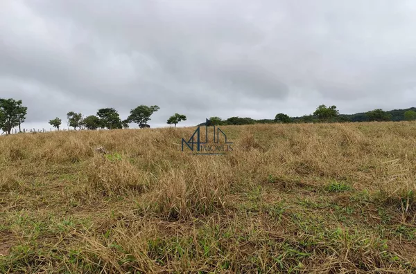 Fazenda 19 Alqueires - Crómínia - GO