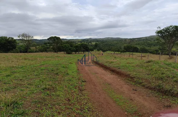 Fazenda 19 Alqueires - Crómínia - GO