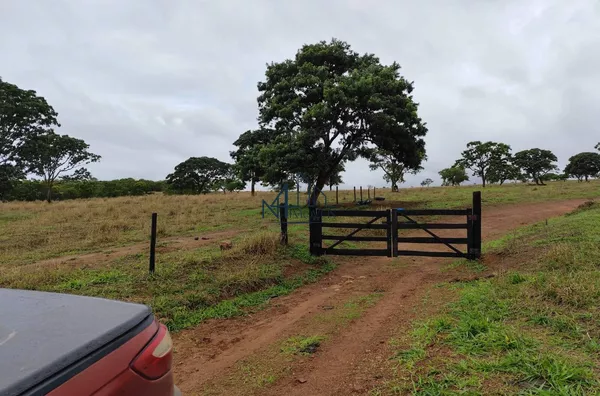 Fazenda 19 Alqueires - Crómínia - GO