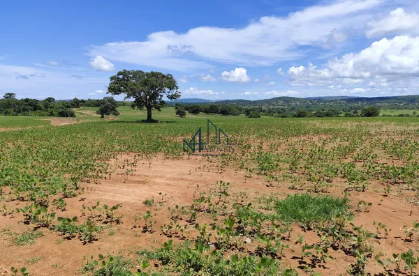 Fazenda 9 alqueires - Município de Mairipotaba - Go