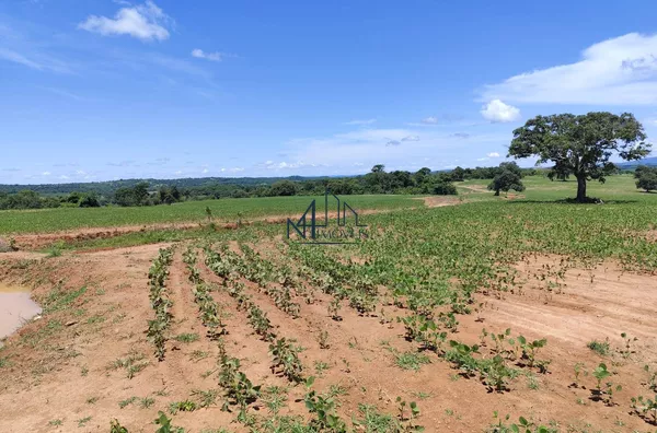 Fazenda 9 alqueires - Município de Mairipotaba - Go