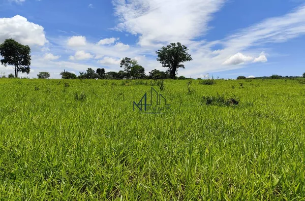 Fazenda 9 alqueires - Município de Mairipotaba - Go