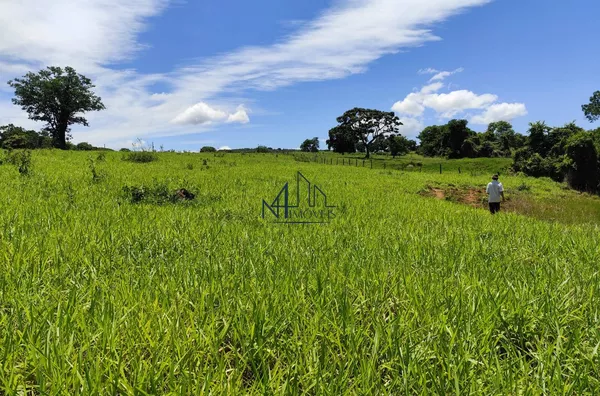 Fazenda 9 alqueires - Município de Mairipotaba - Go