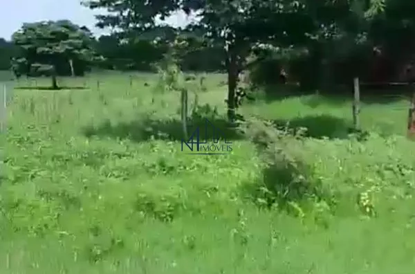 Fazenda 143 Alqueires - Munícipio Flores de Goiás - GO