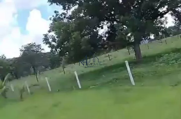 Fazenda 143 Alqueires - Munícipio Flores de Goiás - GO