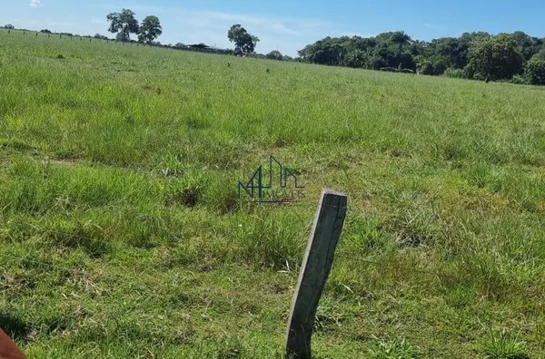 fazenda 73 alqueires - Cocalinho MT