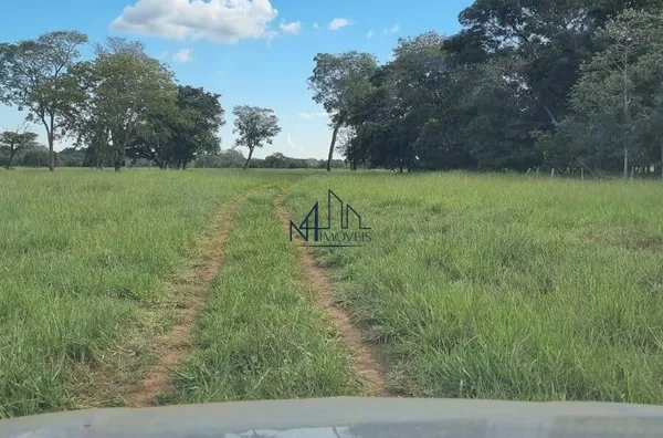 fazenda 73 alqueires - Cocalinho MT