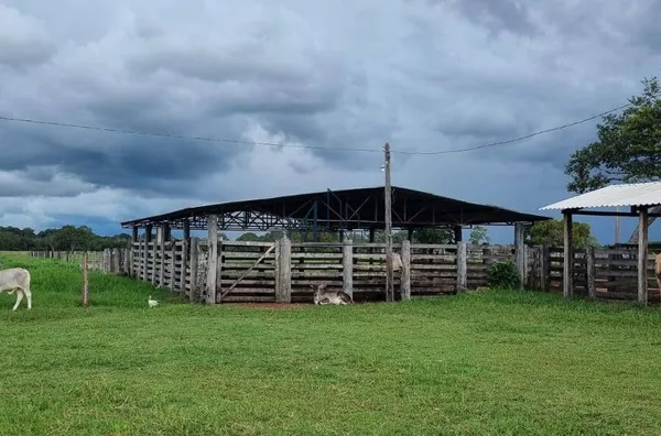 fazenda 73 alqueires - Cocalinho MT