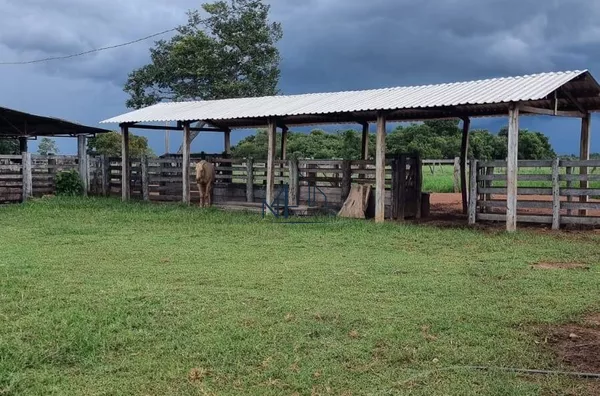 fazenda 73 alqueires - Cocalinho MT