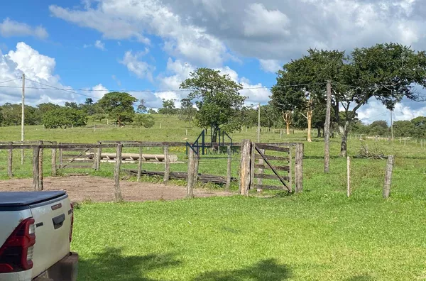 Fazenda 15 Alqueires  - Município de Aragoiânia - GO