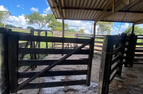 Fazenda 15 Alqueires  - Município de Aragoiânia - GO