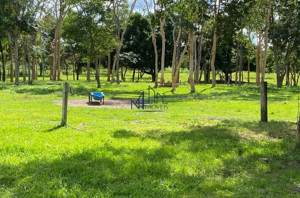 Fazenda 15 Alqueires  - Município de Aragoiânia - GO