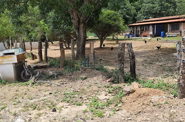 Fazenda 10 Alqueires - Município de Oloana - GO - Foto 5