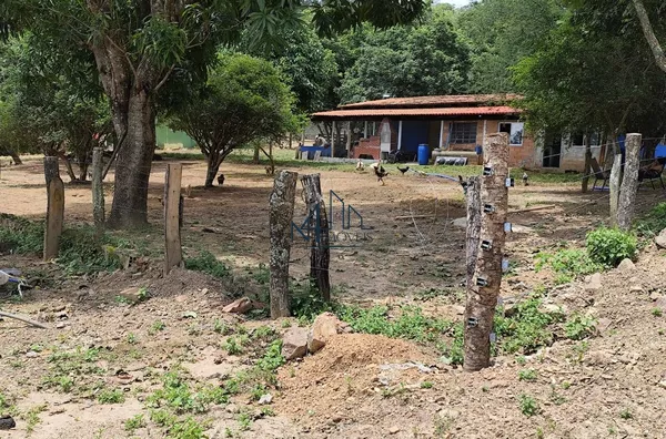 Fazenda 10 Alqueires - Município de Oloana - GO - Foto 6