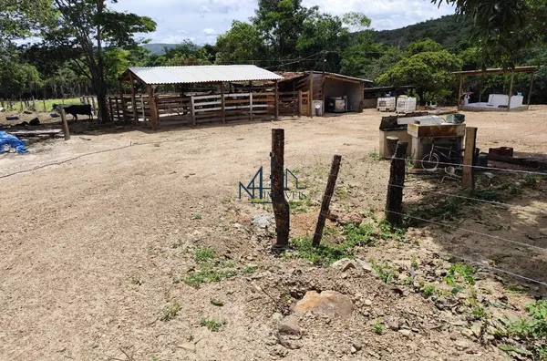Fazenda 10 Alqueires - Município de Oloana - GO - Foto 2