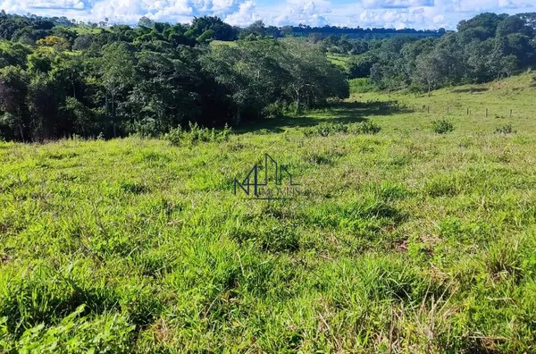 Chácara - Município de Petrolina - GO