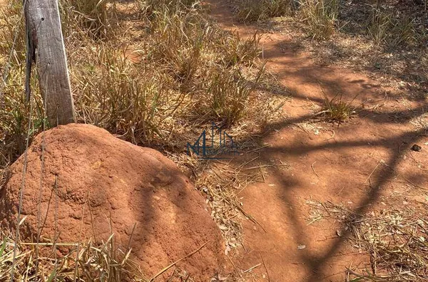 Fazenda 36,69 Alqueires  - Município de Goiás velho - GO