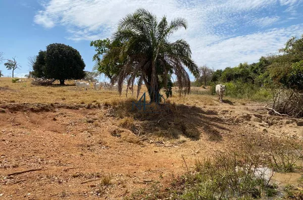 Fazenda 36,69 Alqueires  - Município de Goiás velho - GO