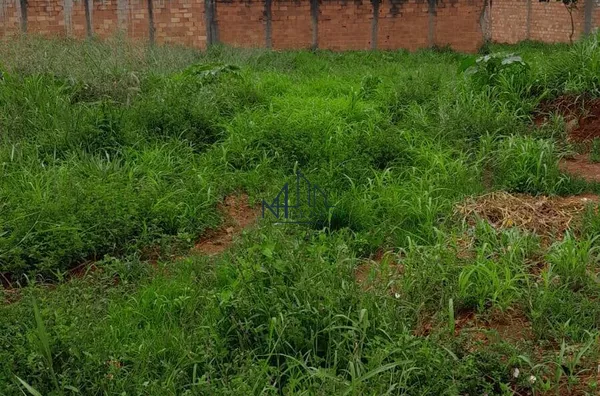 Lote 250m² - Jardim Sevilha - Senador Canedo - GO - Foto 4