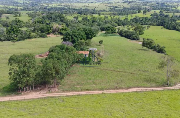 Fazenda São João da Água Limpa - Município de Sanclerlândia - GO