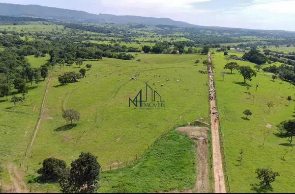 Fazenda São João da Água Limpa - Município de Sanclerlândia - GO