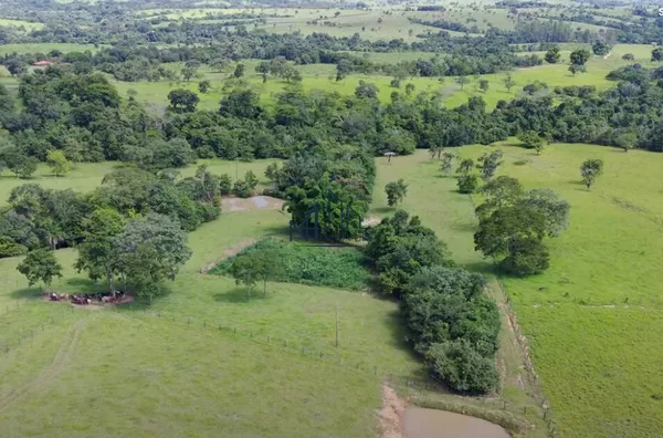 Fazenda São João da Água Limpa - Município de Sanclerlândia - GO