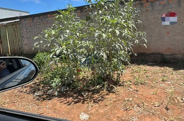 Lote 360m² - Res. Village Garavelo I - Aparecida de Goiânia - GO - Foto 1