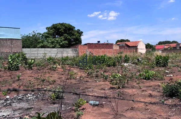 Lote 260 m² - Vila Oliveira - Aparecida de Goiânia - GO - Foto 3