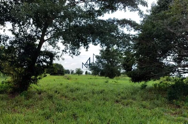 Fazenda - Municipio de Britânia - Goias