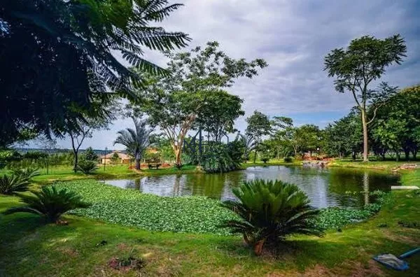 Terreno em condomínio para venda, Rodovia, Hidrolândia - Foto 12