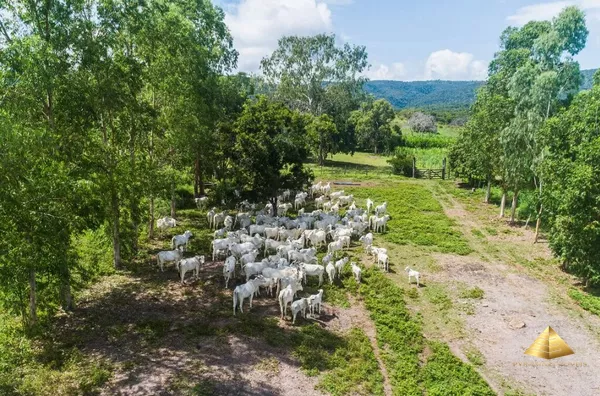 Fazenda para venda,  - Selecione - Bairro, Acorizal