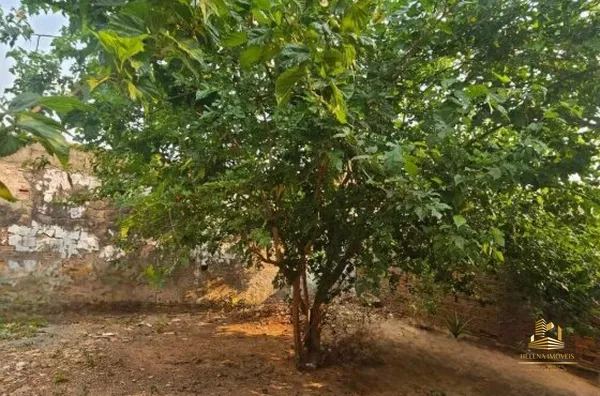 Casa para venda, 3 quarto(s),  Barra Do Pari, Cuiabá - Foto 5