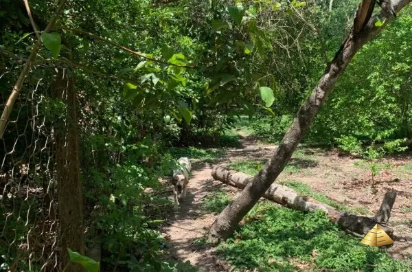 Terreno para venda, Cachoeira Das Garças, Cuiabá - Foto 12