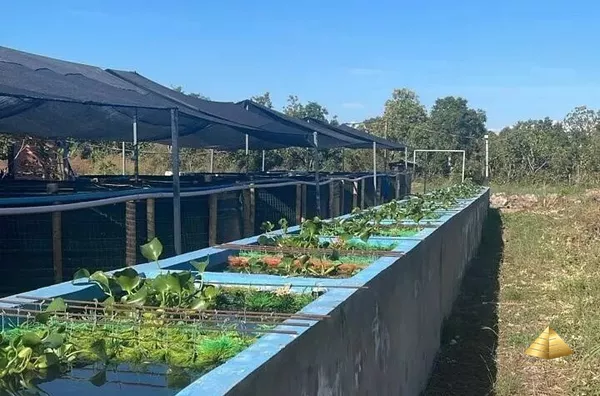 Chácara para venda, 2 quarto(s), - Selecione - Bairro, Cuiabá - Foto 13