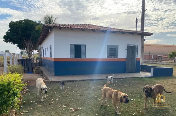 Imóvel comercial para venda,  Distrito Industrial, Dom Aquino - Foto 4