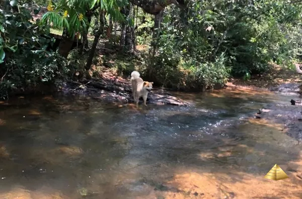 Chácara para venda, , Chapada Dos Guimarães - Foto 7