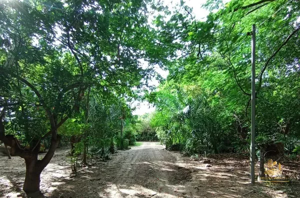 Terreno para venda,  Nova Esperança, Cuiabá - Foto 1