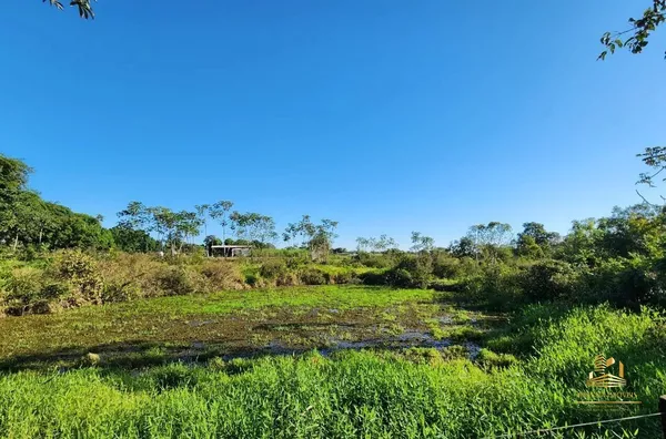 Chácara urbana no Nova Esperança - Foto 5