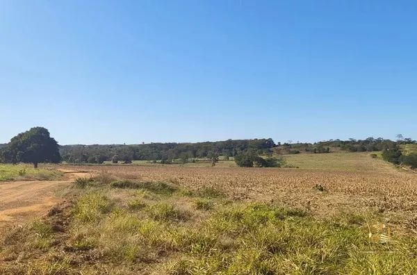 Fazenda para venda, Rosário Oeste, MT - 630 Hectares - Foto 2