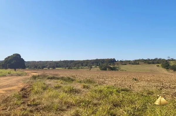 Fazenda para venda, Rosário Oeste, MT - 630 Hectares