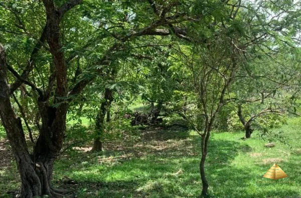 Terreno para venda, Cachoeira Das Garças, Cuiabá - Foto 7