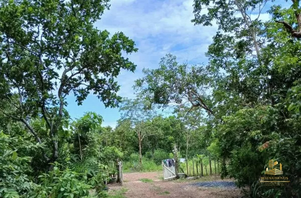 Chácara para venda, 4 quarto(s),  área Rural De Cuiabá, Cuiabá - Foto 6