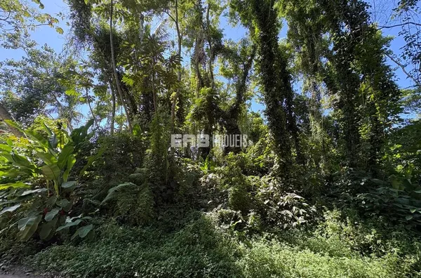 Terreno à venda em Itamambuca, Ubatuba - Foto 2