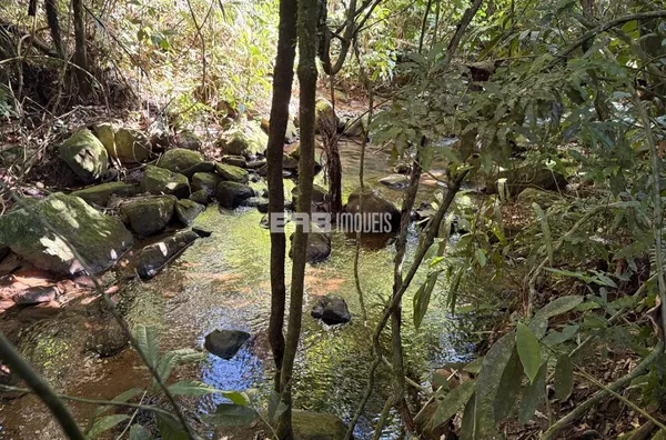 Terreno para comprar na Praia do Félix, Ubatuba