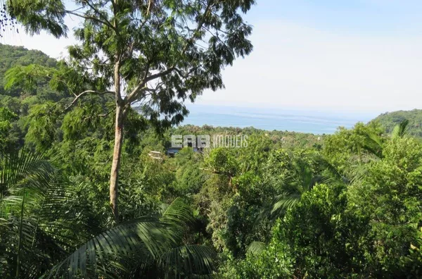 Casa com vista para o mar, para locação de temporada, na praia do Prumirim, em Ubatuba - Foto 3